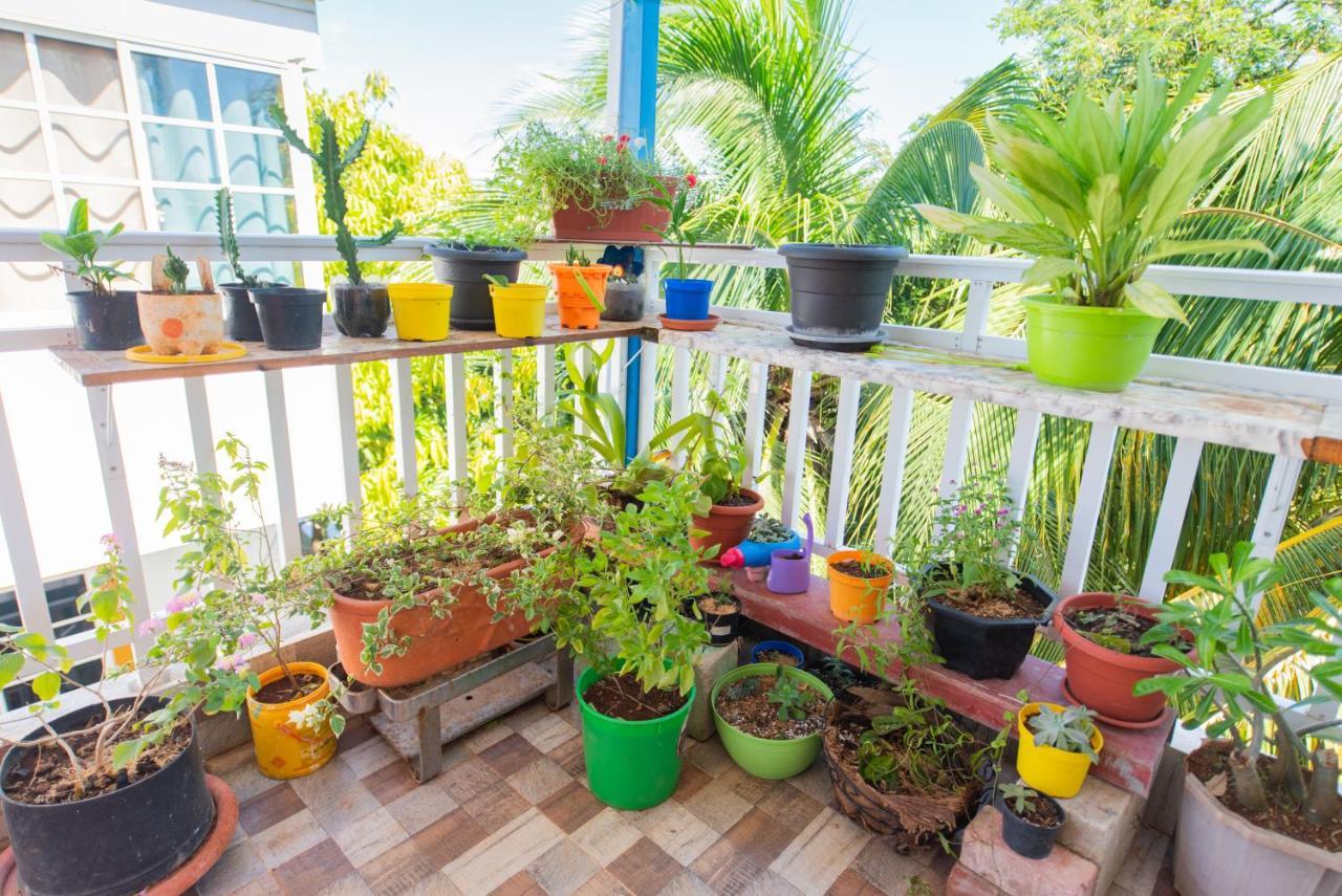 Apartamentos Turisticos El Conquistador San Andrés Extérieur photo